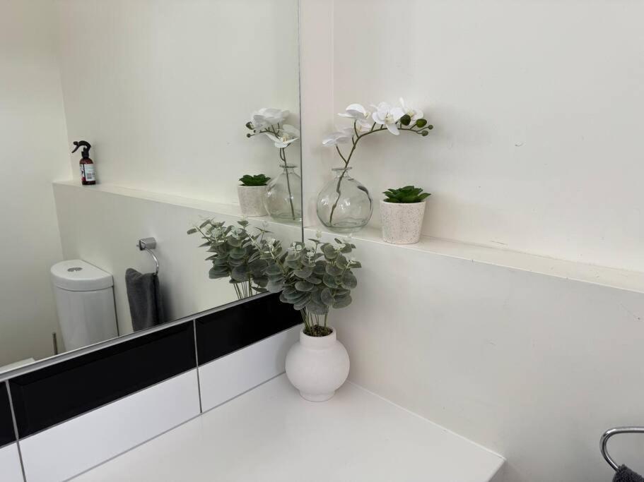 4 Large Bedroom Apartment In The City Хейстингс Экстерьер фото